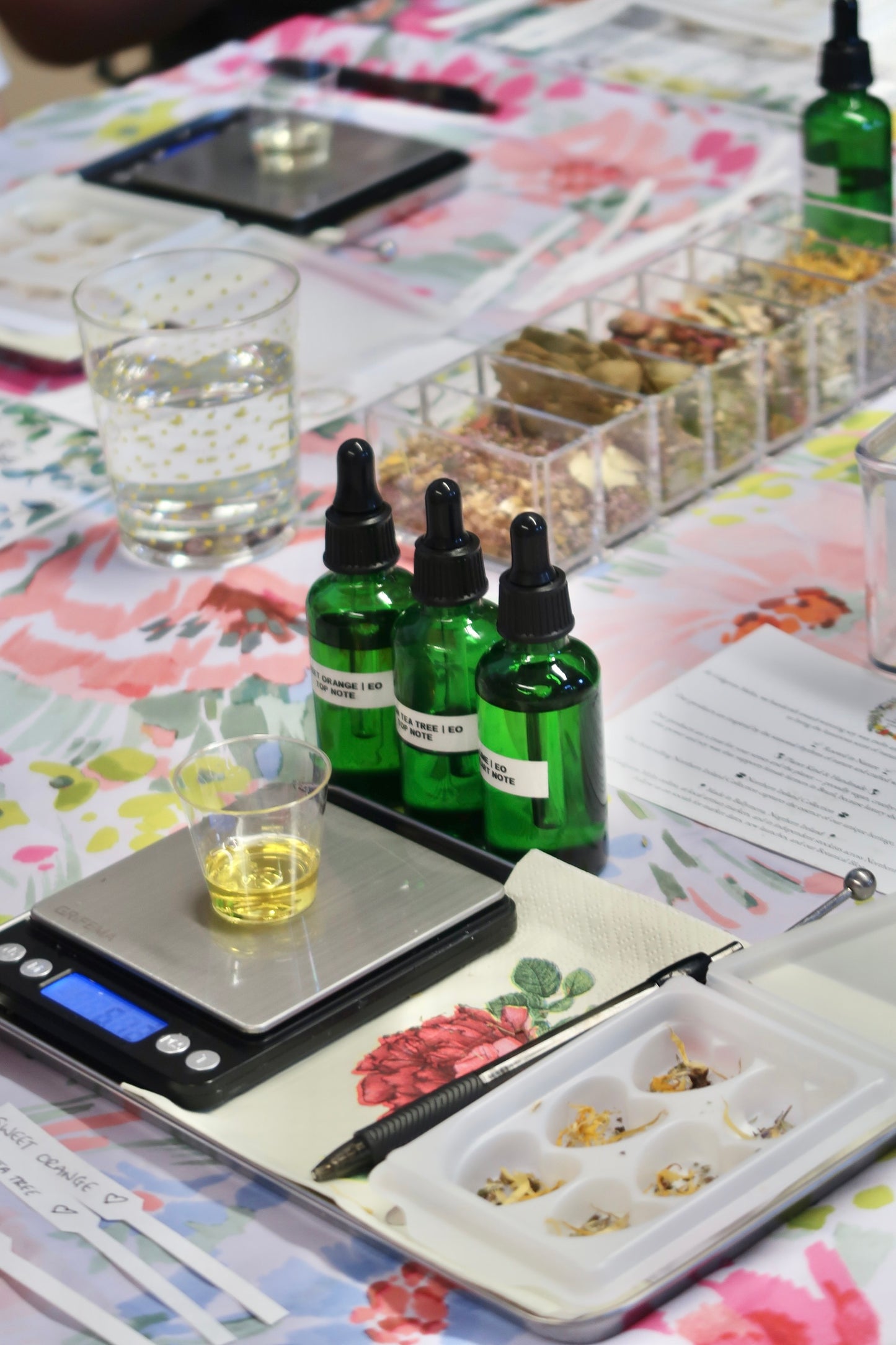 'AUTUMN WORKSHOP: GALGORM MELTS X LAUREN KELSO ILLUSTRATOR'