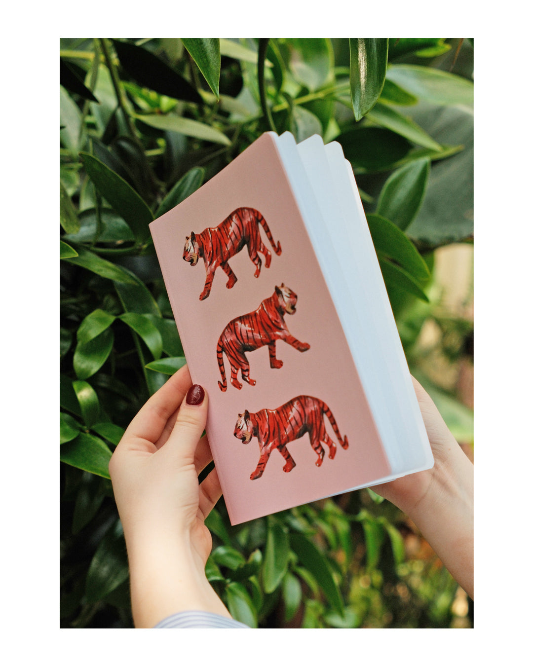 'ORANGE TIGERS A5 NOTEBOOK'